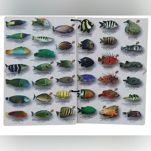 Submersible pocket fish guide-Fish of Tahiti - Picture 6 of 9